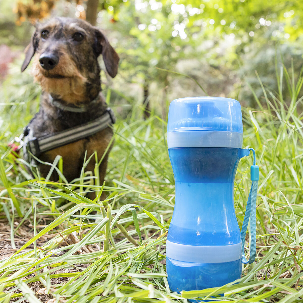 2-i-1 drikkedunk til hunde