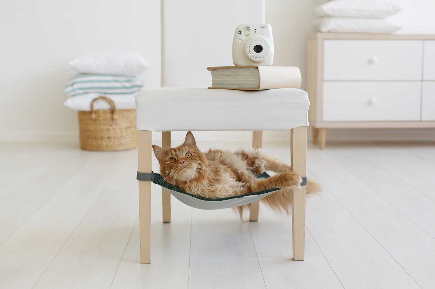 Pet Hammock &amp; Storage