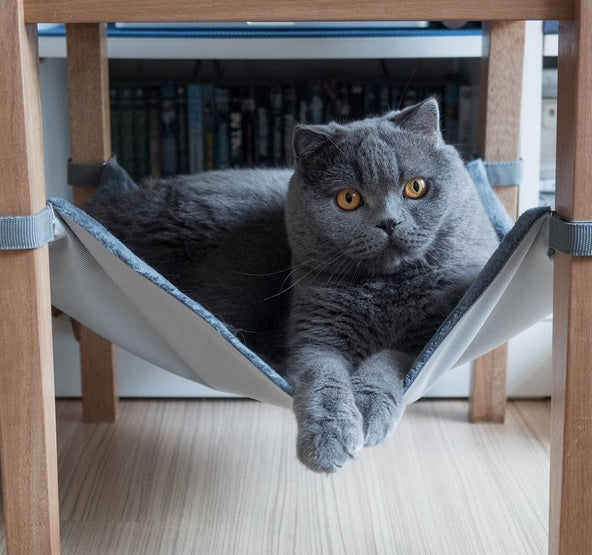 Pet Hammock &amp; Storage